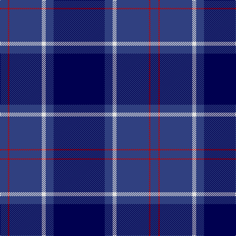 B/16 R3 B66 LN8 B16 DB/104 tartan Tartan detail