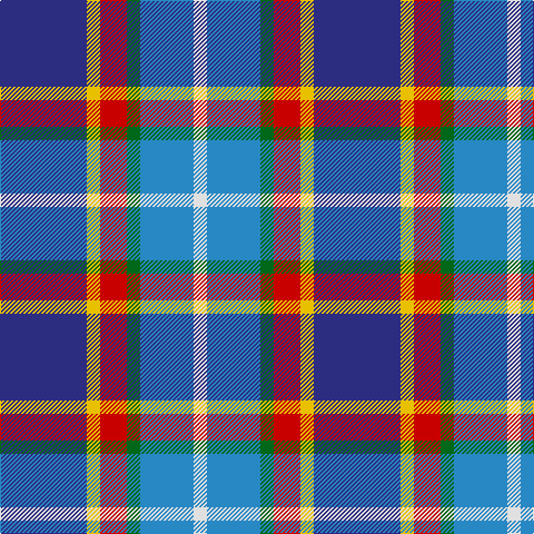 DB/78 Y12 R24 G12 B48 LN/12 tartan Tartan detail