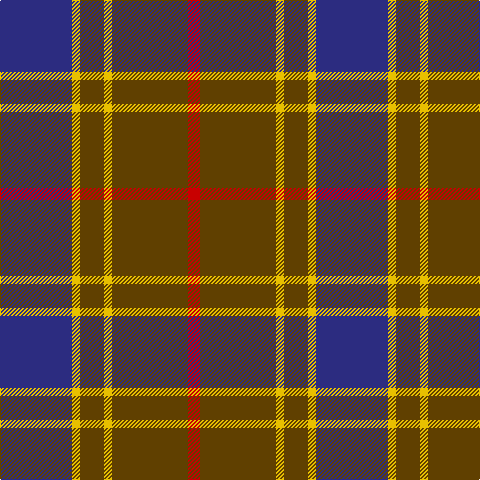 DB/72 Y8 T24 Y8 T76 R/12 tartan Tartan detail