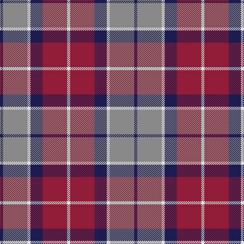 DB/6 N48 LN6 DB24 DR48 LN/6 tartan Tartan detail