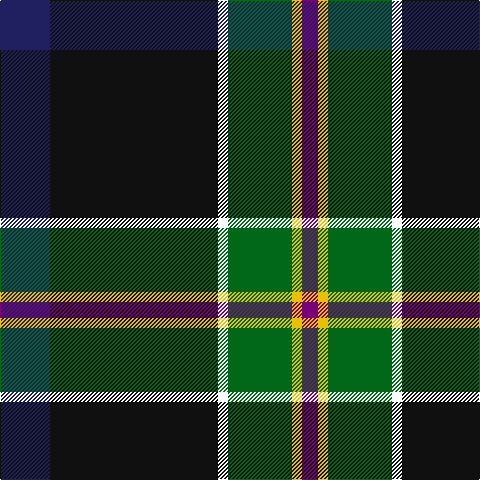 DB/50 K168 W10 G64 Y10 P/16 tartan Tartan detail
