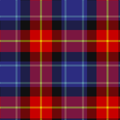DB/62 B8 DB12 K38 R40 Y/8 tartan Tartan detail