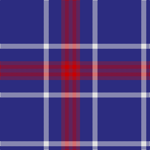 DB/140 LN16 DB40 DR12 R12 DR/12 tartan Tartan detail