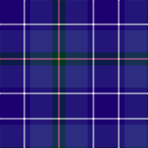 DBa/76 W6 DBa16 DB72 DG18 LR/6 tartan Tartan detail