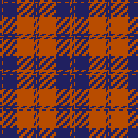 DB/6 DO6 DB48 DO60 DB6 DO/4 tartan Tartan detail
