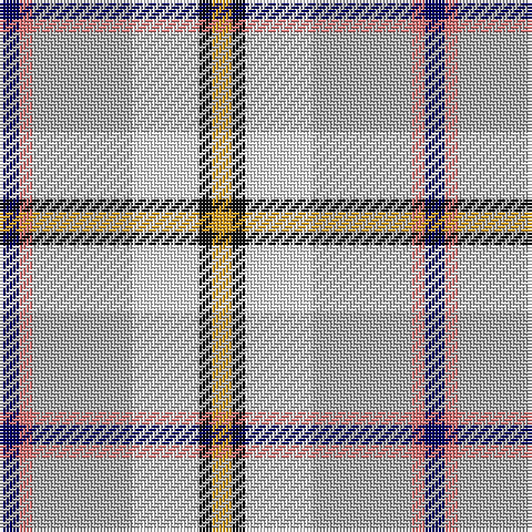 DB/6 LR4 N30 W20 K4 Y/6 tartan Tartan detail