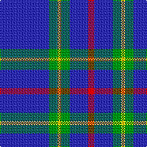 B/80 G14 Y6 G14 B30 R/10 tartan Tartan detail