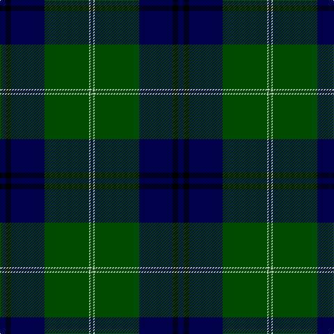 DB/8 K8 DB48 G64 N2 G/4 tartan Tartan detail
