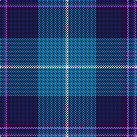 DB/8 P4 DP6 DB48 B48 W/6 tartan Tartan detail