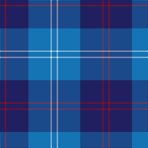 DB/16 R4 DB72 B72 W4 B/16 tartan Tartan detail