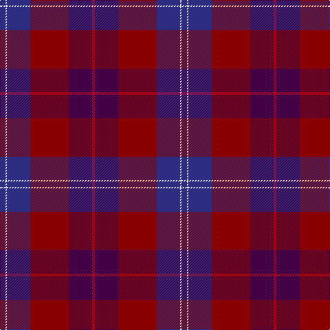 DB/8 LN2 DB34 DR56 DP34 R/4 tartan Tartan detail