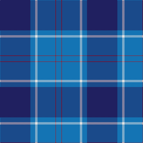 B/18 R2 B60 LN8 B16 DB/102 tartan Tartan detail