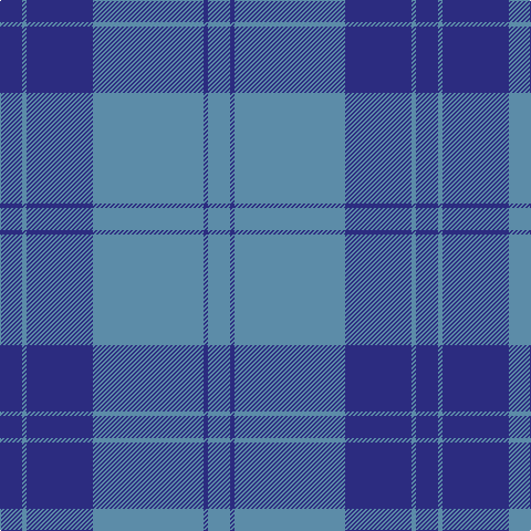 B/20 DB4 B100 DB60 B4 DB/20 tartan Tartan detail