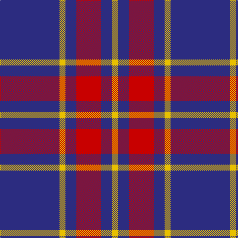 DB/120 Y12 DB22 R50 DB22 Y/12 tartan Tartan detail