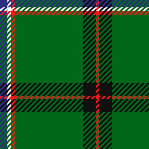 DB/24 W12 R12 G220 K40 R/12 tartan Tartan detail