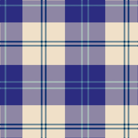 DBa/16 B6 DBa56 W64 DB6 W/8 tartan Tartan detail