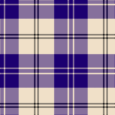 DB/16 W6 DB56 W64 K6 W/8 tartan Tartan detail