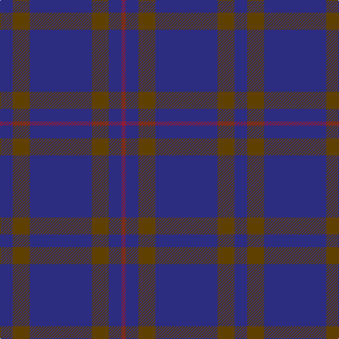 DB/18 T24 DB88 T24 DB18 DR/6 tartan Tartan detail