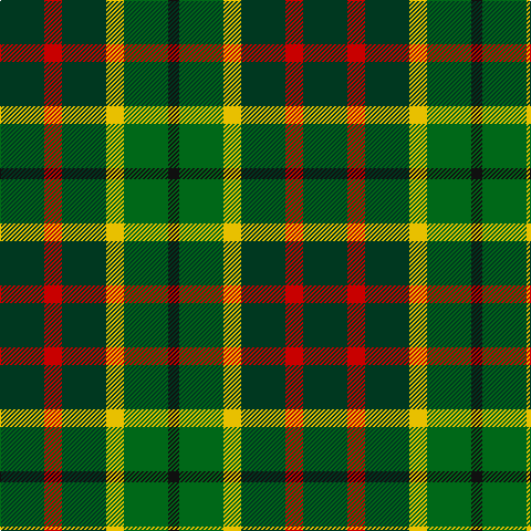 DG/40 R16 DG40 Y16 G40 K/10 tartan Tartan detail