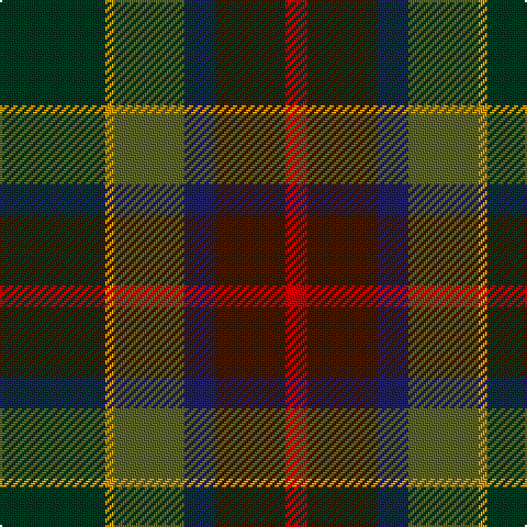 DG/48 DY4 G32 DB14 DR32 R/10 tartan Tartan detail