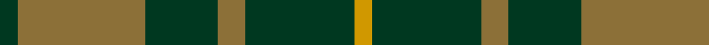 Confederate Cavalry (Military) example sett