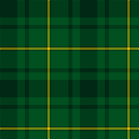 DG/60 G26 DG14 G60 DG4 Y/8 tartan Tartan detail