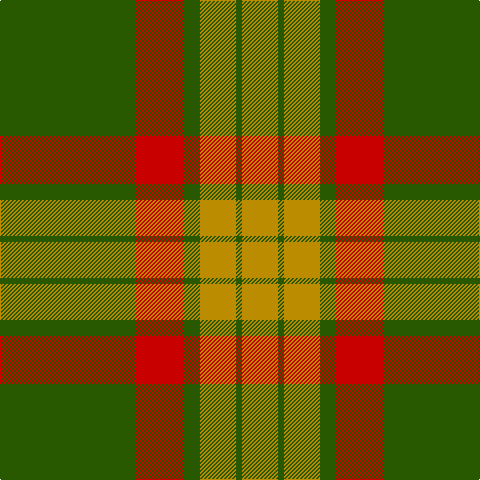 G/136 R48 G16 DY36 G6 DY/36 tartan Tartan detail