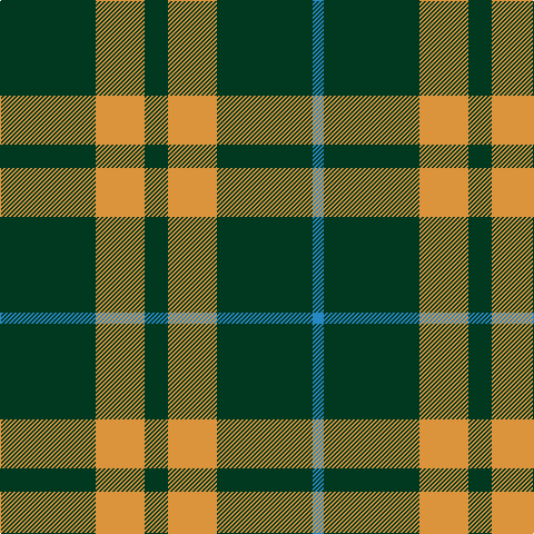 DG/86 O44 DG21 O44 DG86 B/10 tartan Tartan detail