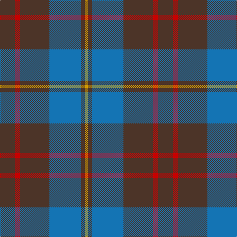T/30 R10 T60 B64 T8 DY/6 tartan Tartan detail
