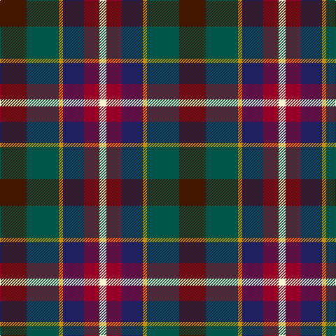 DR/38 G46 DY6 DB30 DRa22 LY/10 tartan Tartan detail
