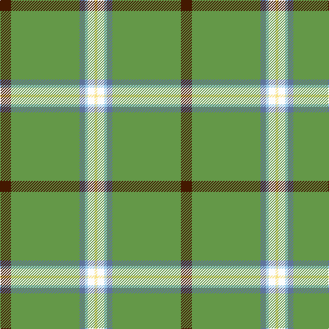 DR/16 LG100 B8 LB4 W10 LY/4 tartan Tartan detail