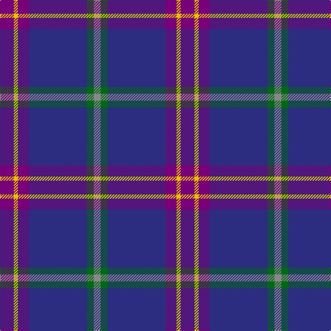 P/20 Y6 P16 DB84 G10 N/10 tartan Tartan detail