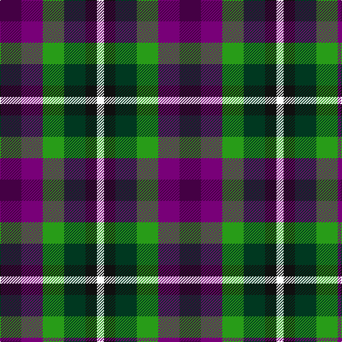 DP/30 P30 G30 DG30 K16 W/10 tartan Tartan detail