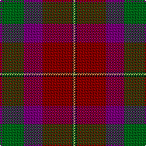 LG/4 K2 DR48 P30 G36 P/4 tartan Tartan detail