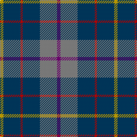 Y/6 DB30 R4 DB30 N30 P/6 tartan Tartan detail