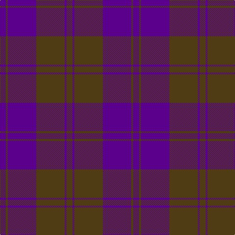 P/12 T4 P58 T58 P4 T/12 tartan Tartan detail