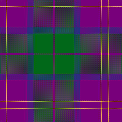 P/24 Y4 P80 DB24 G76 P/8 tartan Tartan detail