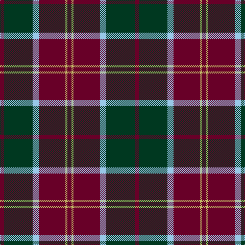 DR/8 DG56 LB12 DR52 LG4 DR/8 tartan Tartan detail