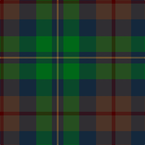 DR/12 T52 DN56 G52 DN16 LT/6 tartan Tartan detail