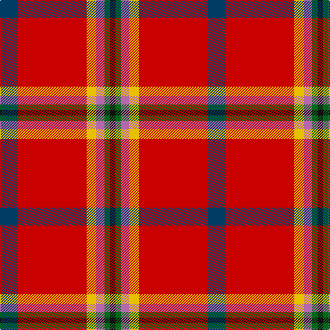 DB/26 R100 Y14 P12 G8 K/8 tartan Tartan detail