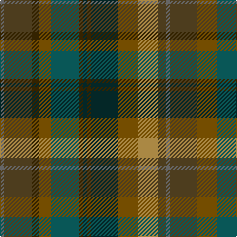 N/4 LT28 T20 G28 T4 G/4 tartan Tartan detail