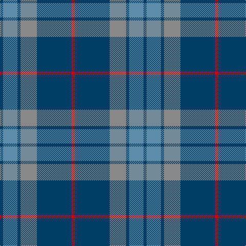 DB/6 B28 DB6 N32 DB68 R/6 tartan Tartan detail