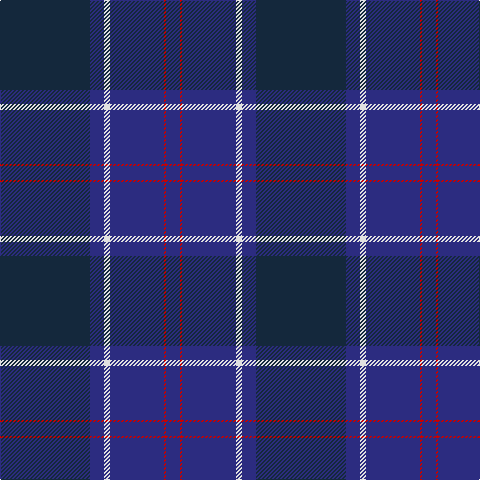 DB/14 R2 DB54 LN6 DB14 DN/90 tartan Tartan detail