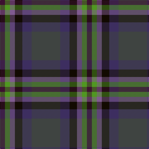 DP/16 G16 LP16 K24 DB30 N/92 tartan Tartan detail