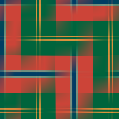 DB/16 LG8 R60 G60 O6 G/8 tartan Tartan detail