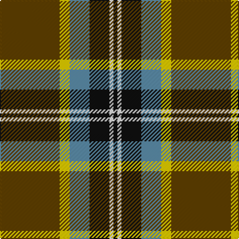 K/4 W4 K20 B20 Y10 T/60 tartan Tartan detail
