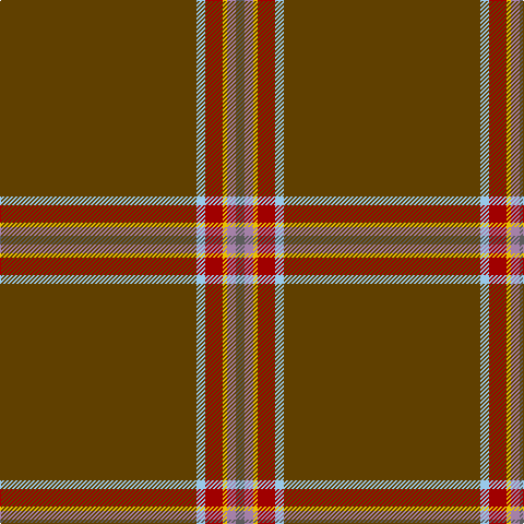 N/8 LP8 Y4 DR16 LB8 T/180 tartan Tartan detail