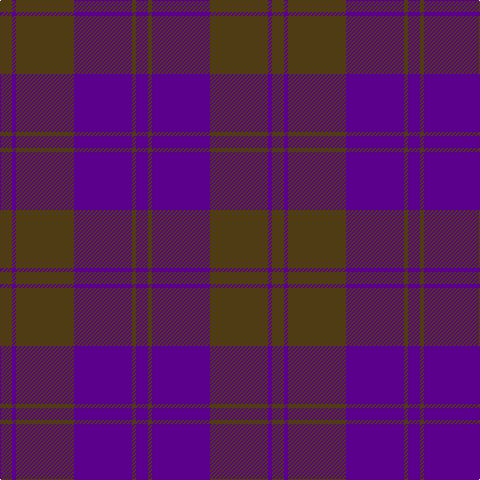 T/12 P4 T58 P58 T4 P/12 tartan Tartan detail
