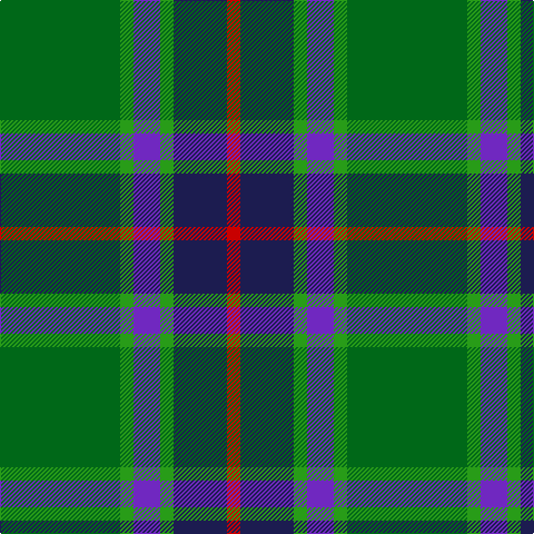 Ga/108 G12 P24 G12 DB48 R/12 tartan Tartan detail