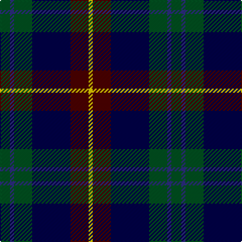 G/10 DBa4 G18 DB38 DR18 Y/4 tartan Tartan detail